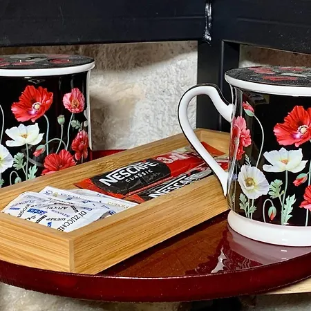 Luxury Art Appartement