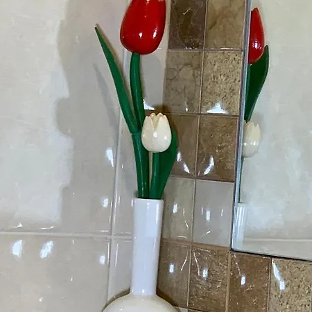 Luxury Art דירה ספליט